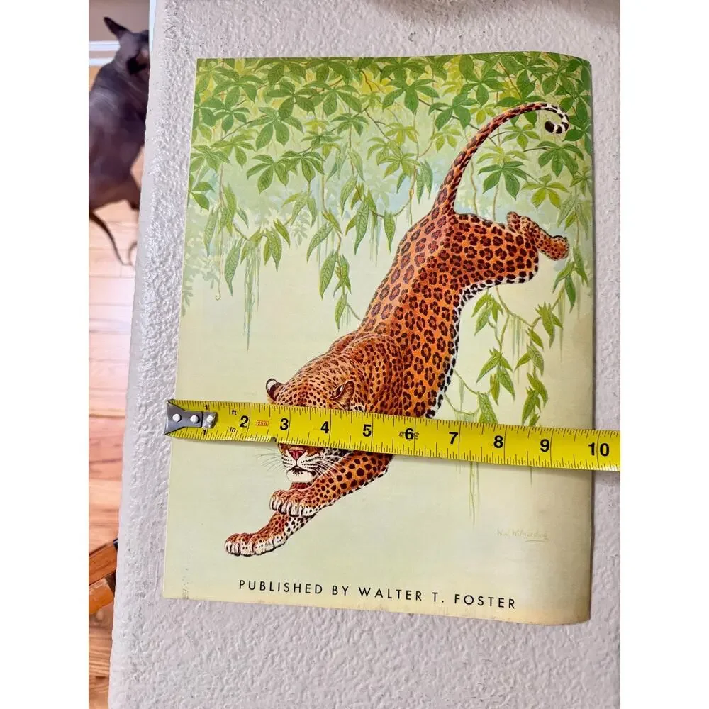 The Cats In Action by Walter J. Wilwerding Walter T. Foster Art Books #70